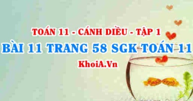 Bài 11 trang 58 SGK Toán 11 tập 1 Cánh Diều